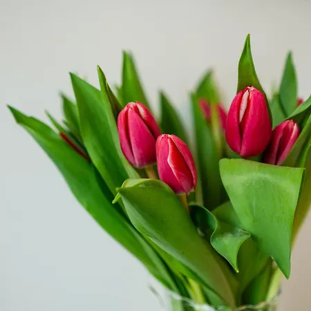 Σπίτι διακοπών Buckingham House Horizon Redcar